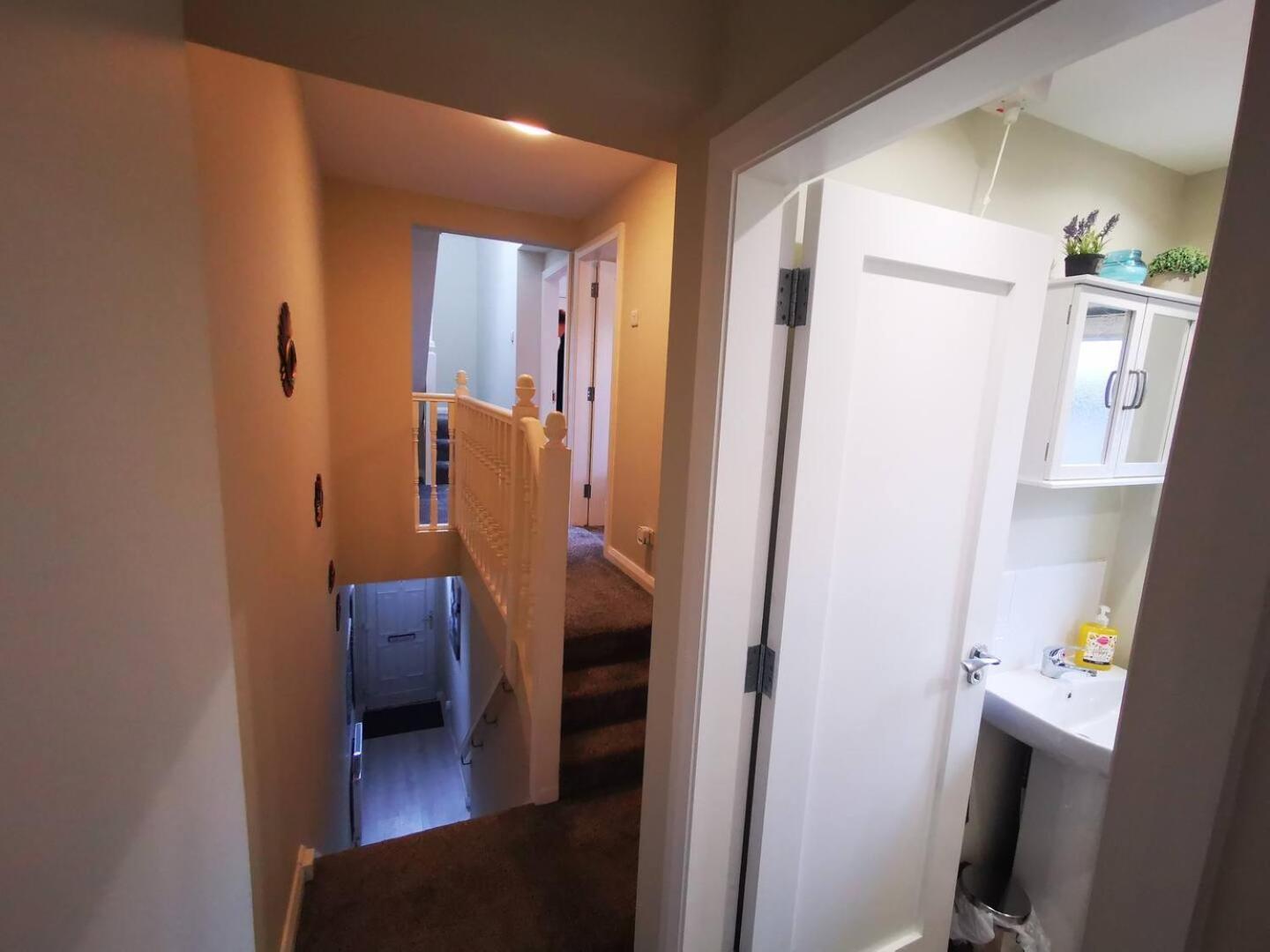 4Br Modern Botanic House Βίλα Μπέλφαστ Εξωτερικό φωτογραφία