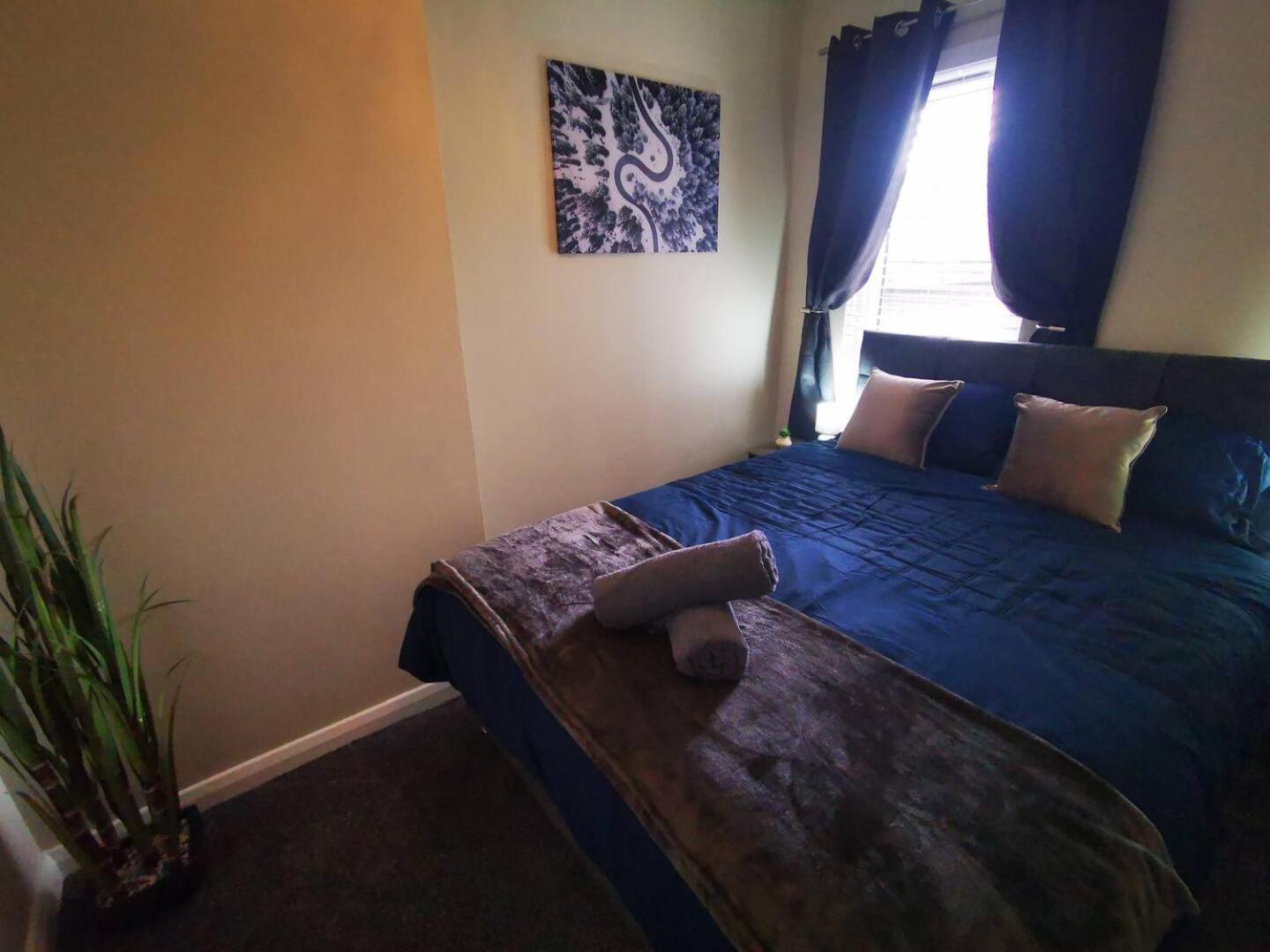 4Br Modern Botanic House Βίλα Μπέλφαστ Εξωτερικό φωτογραφία